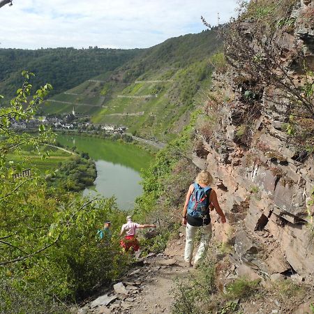 Weingut Pension Hammes-Krueger Ellenz-Poltersdorf Luaran gambar