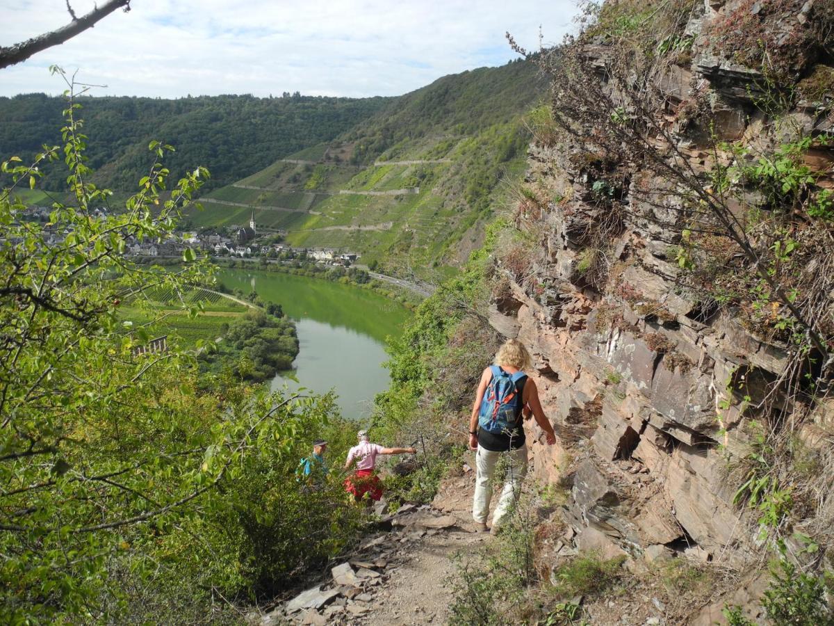 Weingut Pension Hammes-Krueger Ellenz-Poltersdorf Luaran gambar