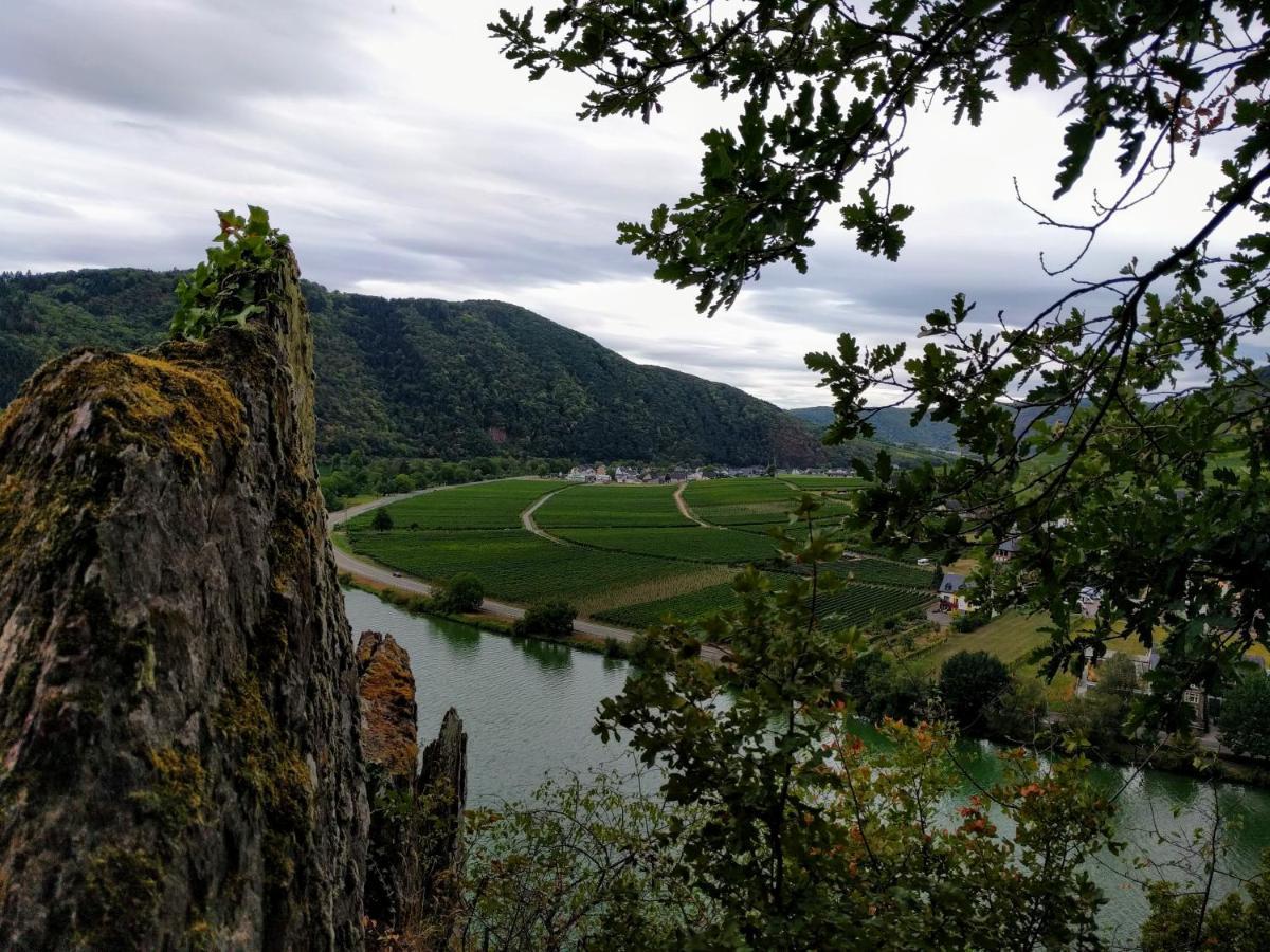 Weingut Pension Hammes-Krueger Ellenz-Poltersdorf Luaran gambar
