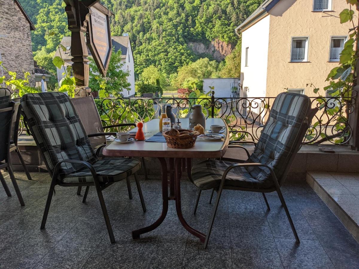 Weingut Pension Hammes-Krueger Ellenz-Poltersdorf Luaran gambar